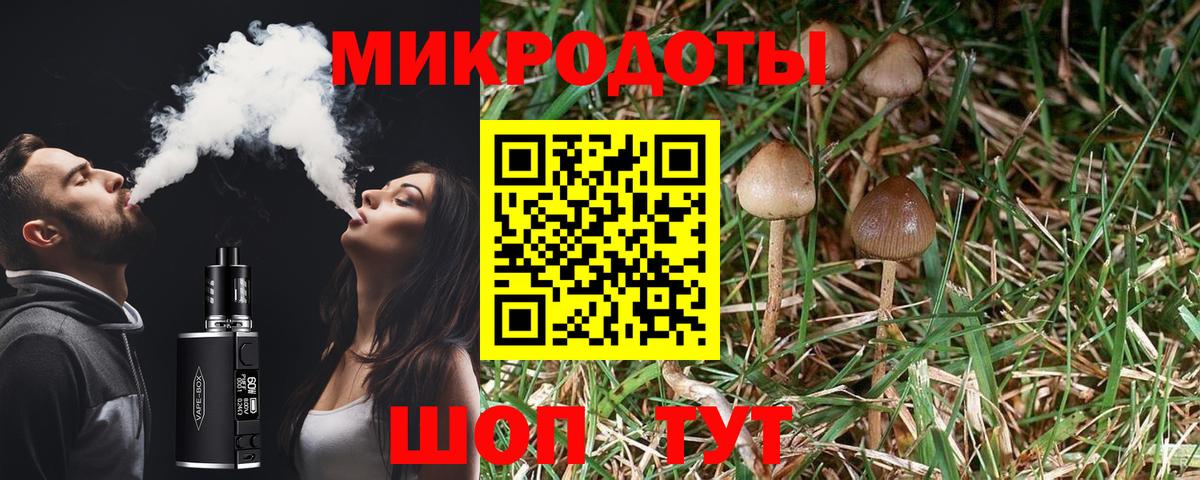 Псилоцибиновые грибы мицелий Черемхово